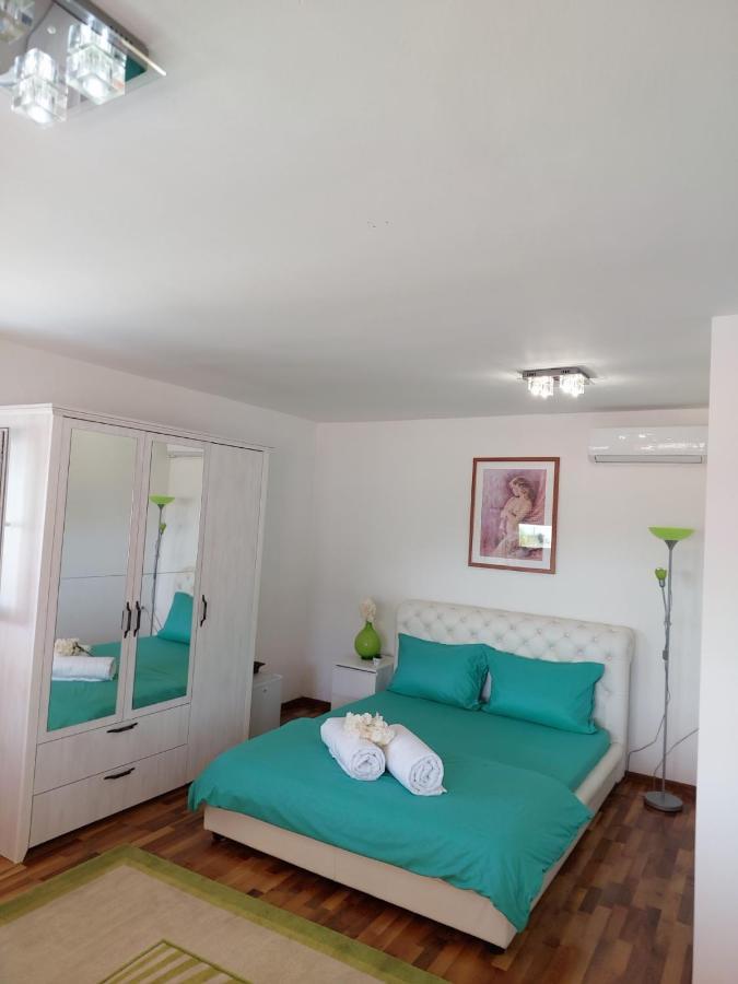 Apartment Andric 2 トレビニエ エクステリア 写真