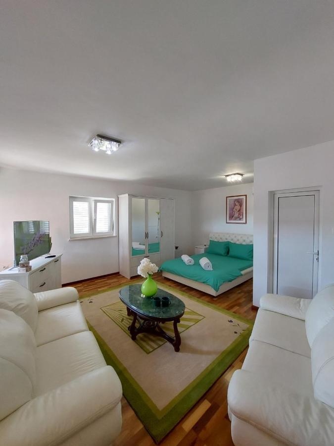 Apartment Andric 2 トレビニエ エクステリア 写真