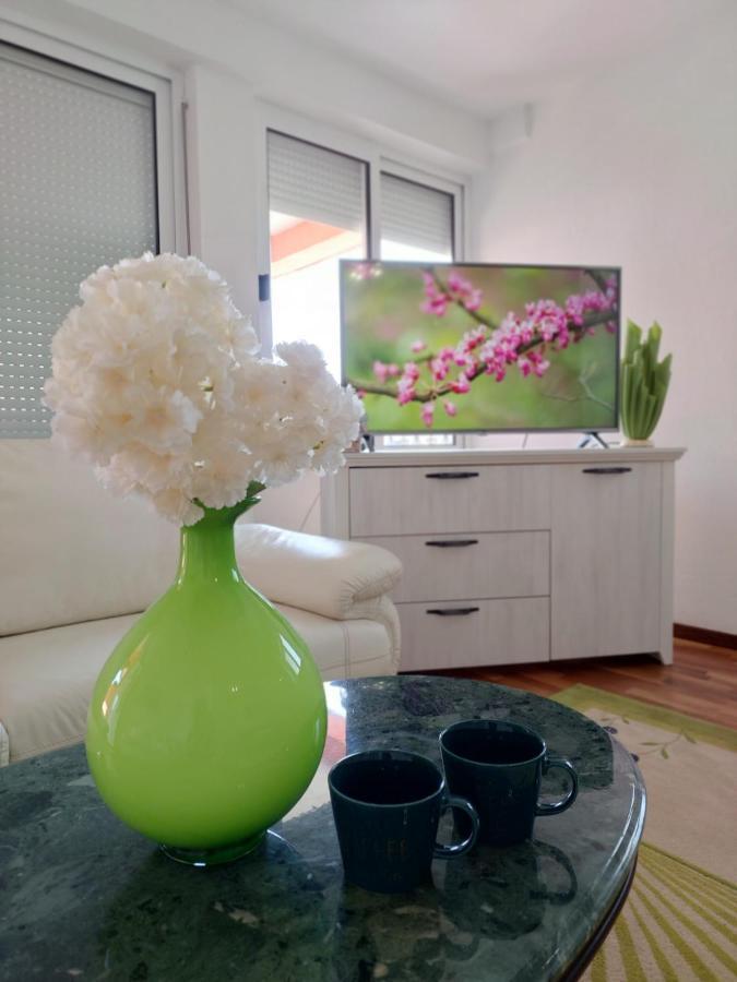 Apartment Andric 2 トレビニエ エクステリア 写真